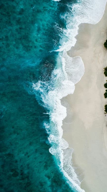 Ocean inspired business ecosystem